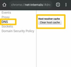 select dns and clear cache