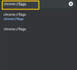 type flag dns