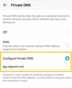 type in aduguard dns