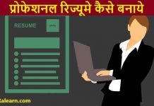 Professional Resume Baise Banaye