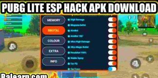 No Root ESP Hack Apk Download Free in PUBG Lite New Update ESP Hack Apk Download Free in PUBG Lite New Update
