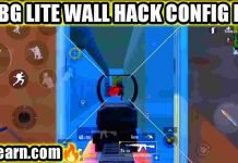 PUBG Lite Wall Hack Config File